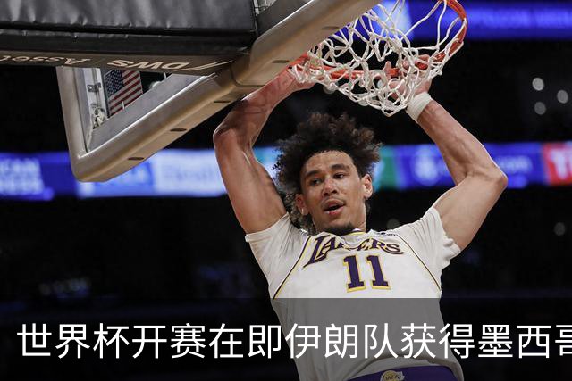 世界杯开赛在即伊朗队获得墨西哥签证 计划启程前往驻地