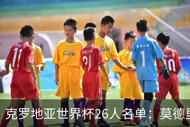 克罗地亚世界杯26人名单：莫德里奇领衔 佩里西奇入选