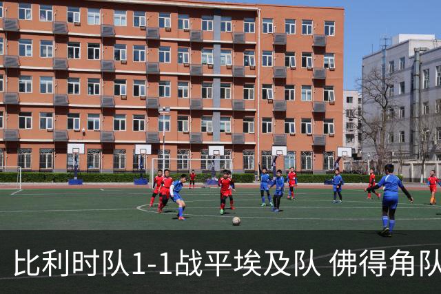 比利时队1-1战平埃及队 佛得角队爆冷逼平西班牙队