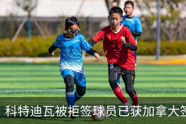 科特迪瓦被拒签球员已获加拿大签证 有望登场出战德国
