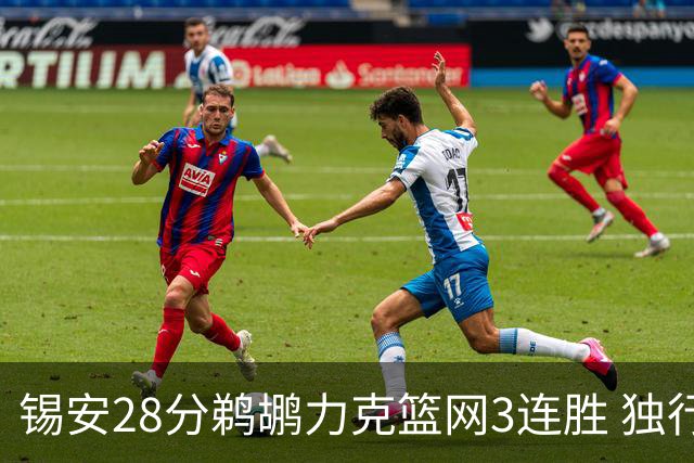 锡安28分鹈鹕力克篮网3连胜 独行侠险胜马刺