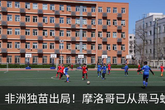 非洲独苗出局！摩洛哥已从黑马蜕变为劲旅 四年后主场见