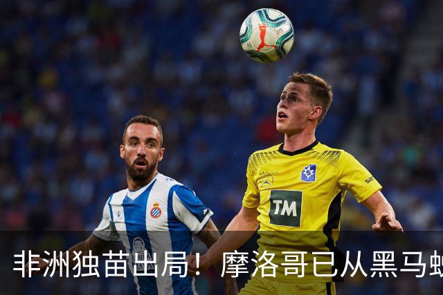 非洲独苗出局！摩洛哥已从黑马蜕变为劲旅 四年后主场见