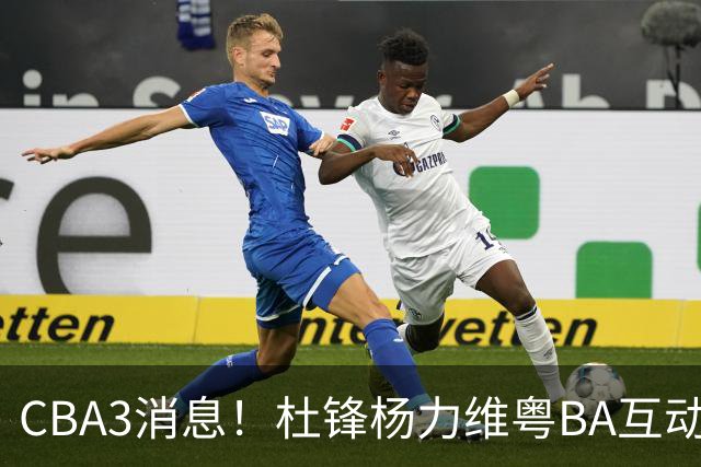 CBA3消息！杜锋杨力维粤BA互动，余嘉豪重返CBA，广厦超市开张？